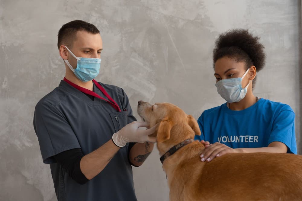 ezekiel canine care (1)